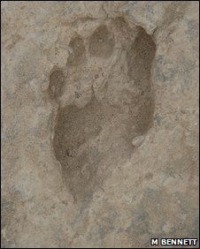 Foot print of Home Erectus.